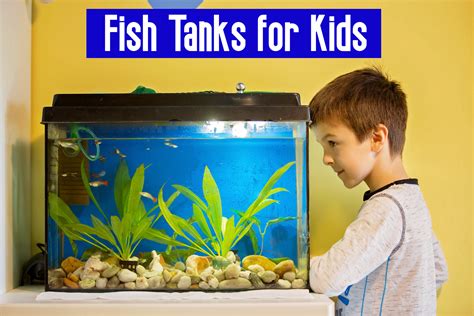 7 Best Fish Tanks for Kids (2025 Reviews) .